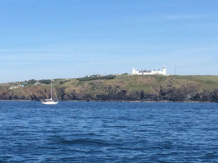 Lizard Point