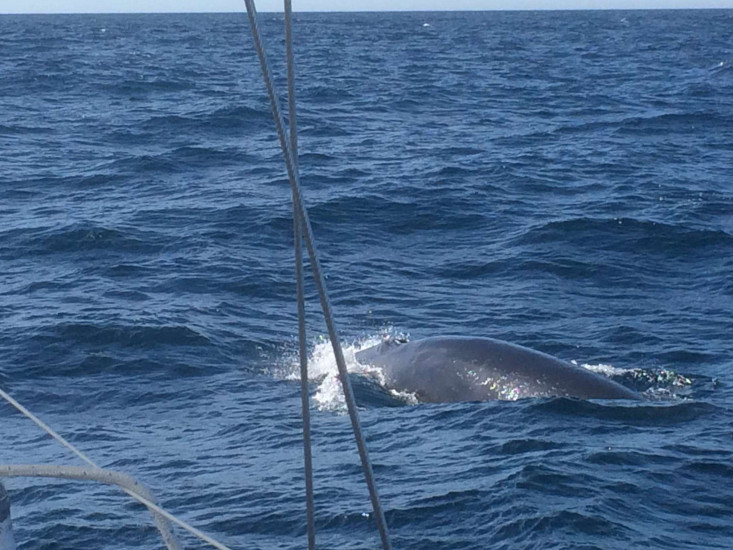 En route vers Lorient, sur X-Ray