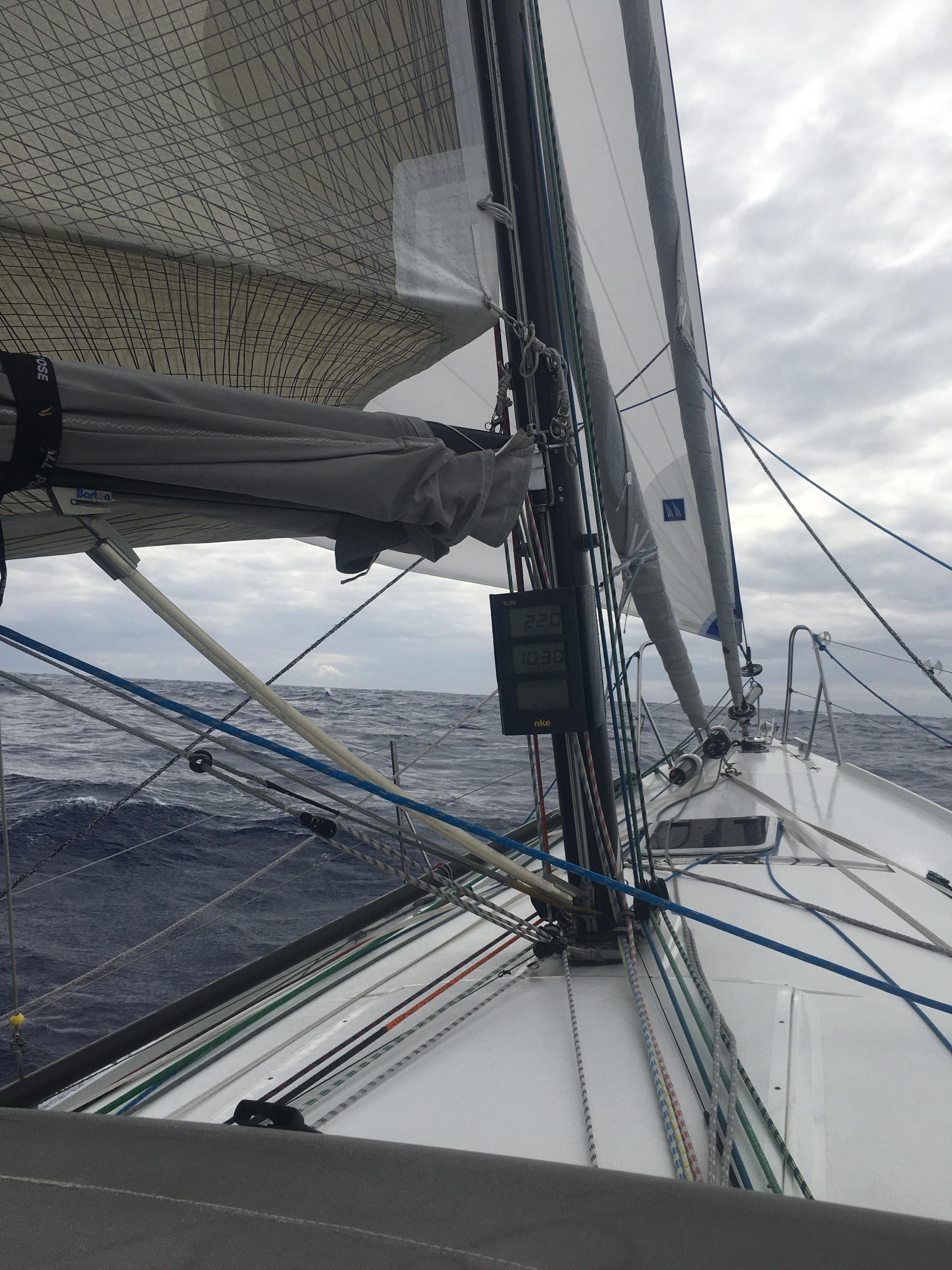 Trinquette enroulée